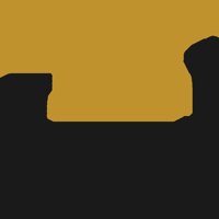 Asset preview